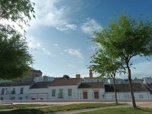 El Carmen - vista monumental (3)